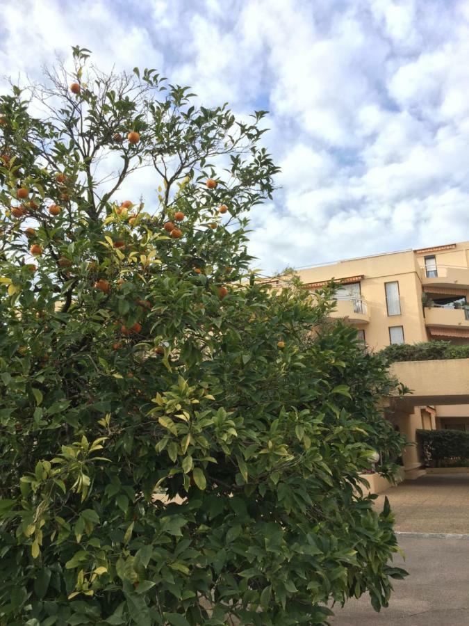 Les Orangers Appartement Saint-Raphaël Buitenkant foto